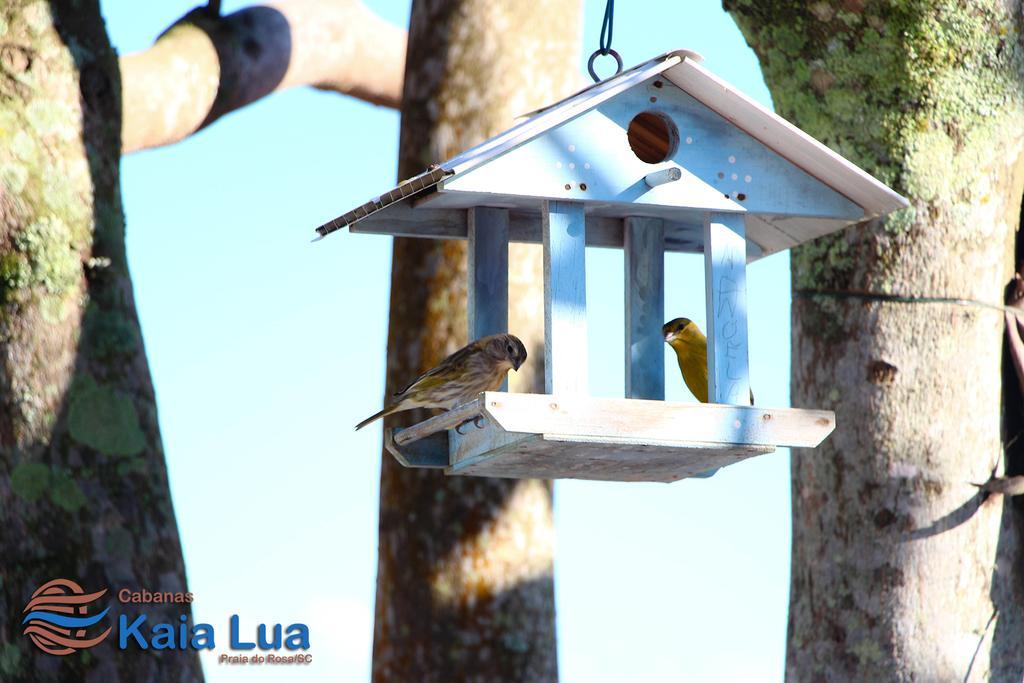 Pousada Cabanas Kaia Lua ปรายาโดโฮซา ภายนอก รูปภาพ